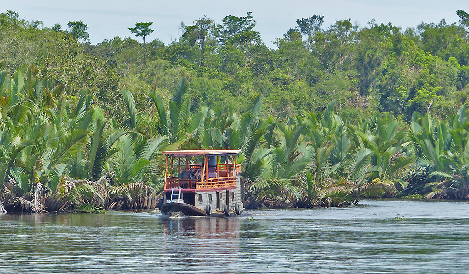 croisiere borneo