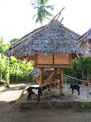 Lombok