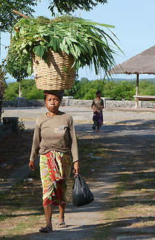 Lombok