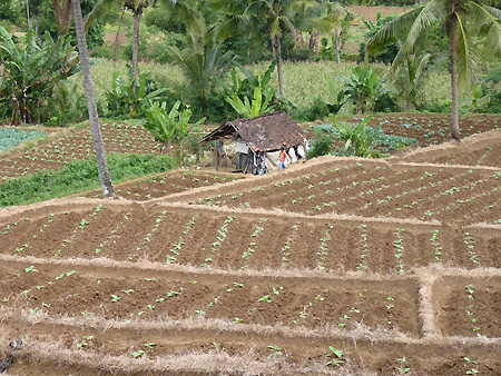 Lombok