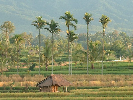 Lombok