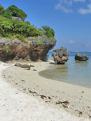 Ile de Rote