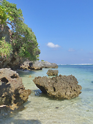 Ile de Rote