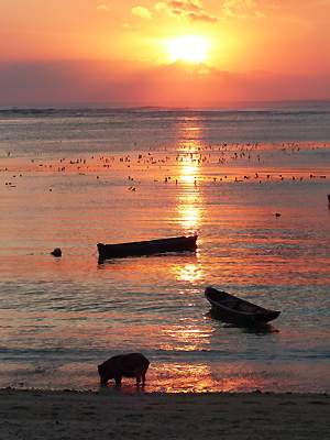Ile de Rote