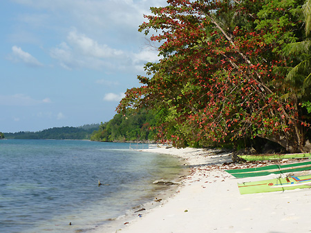 Sulawesi Iles Togian