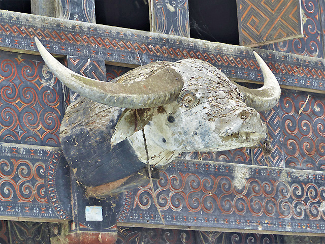Sulawesi Toraja