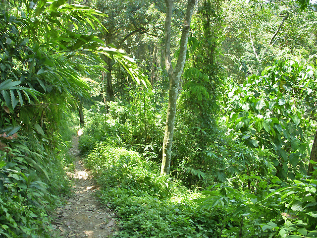 Sumatra Pays Batak