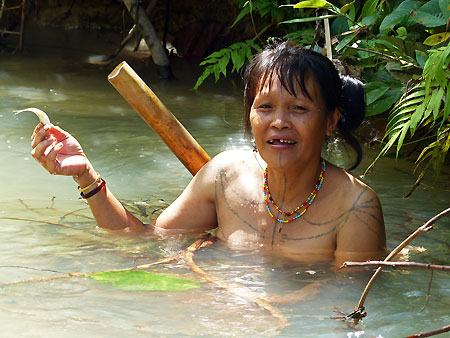Sumatra Mentawai