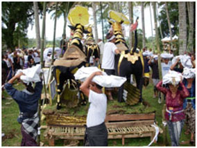 cremation Bali