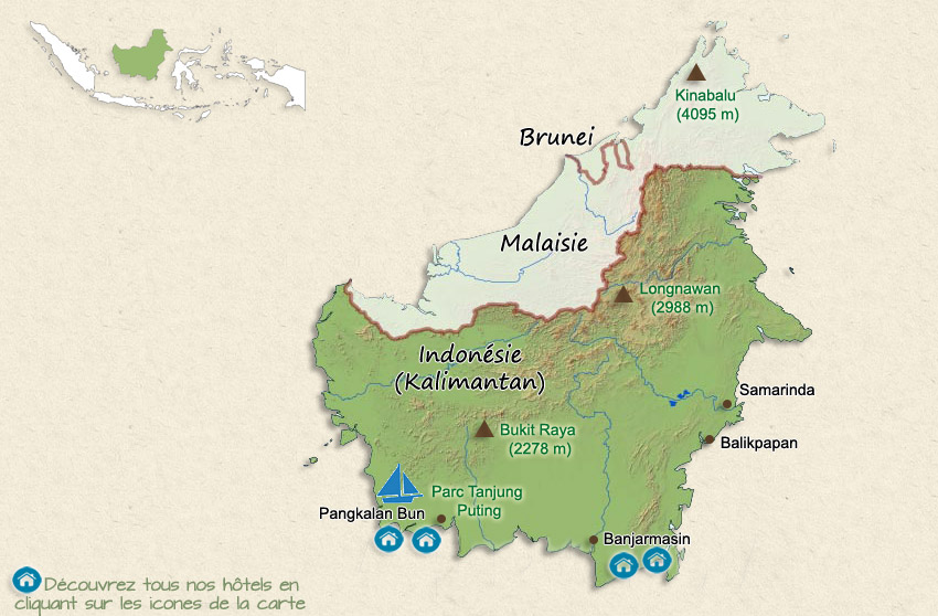  Kalimantan  Borneo Indon sie
