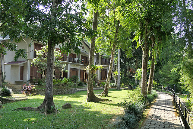 hôtel Sumatra CMBL