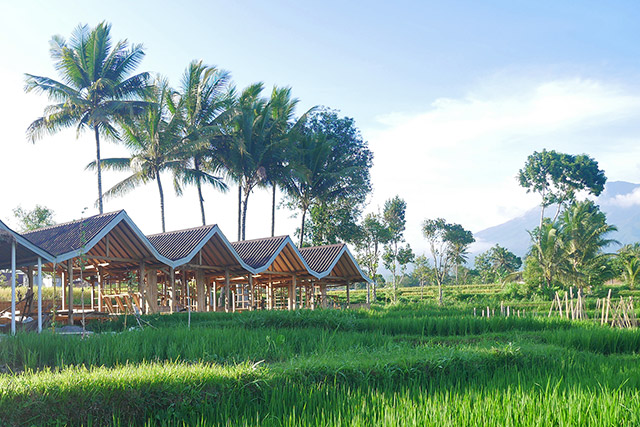 hôtel Lombok CMTEB