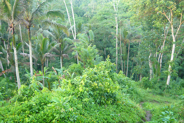 Chez l'habitant à Bali Awik