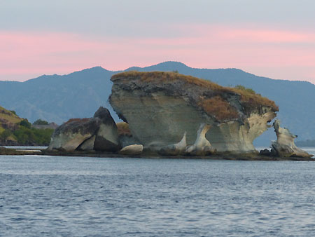 Komodo