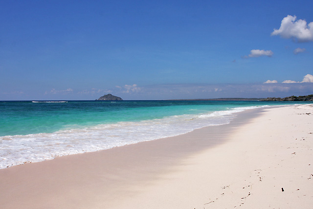  Ile  de Rote  en Indonesie