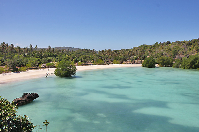  Ile  de Rote  en Indonesie