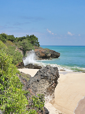 Ile de Rote