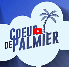 Coeur de Palmier - Indonésie