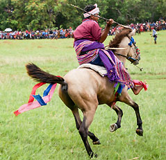 Festival de la Pasola à Sumba - Indonésie