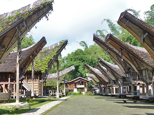 Sulawesi Toraja