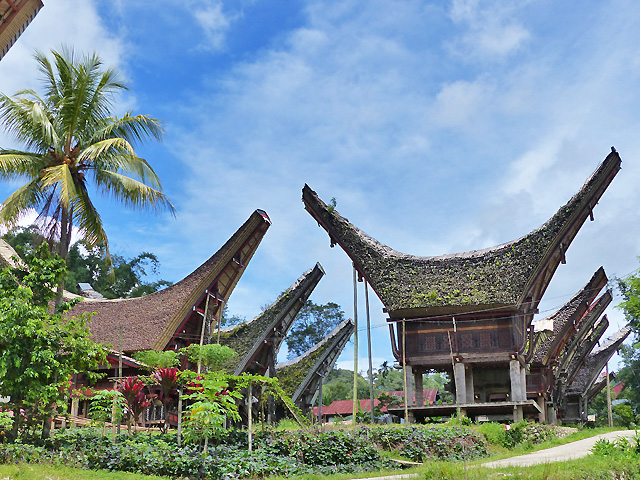 Sulawesi Toraja
