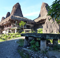Village Tarung Sumba - Indonésie