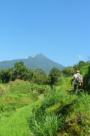 Trek Bali