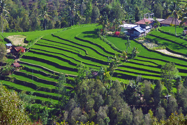 Trek Bali