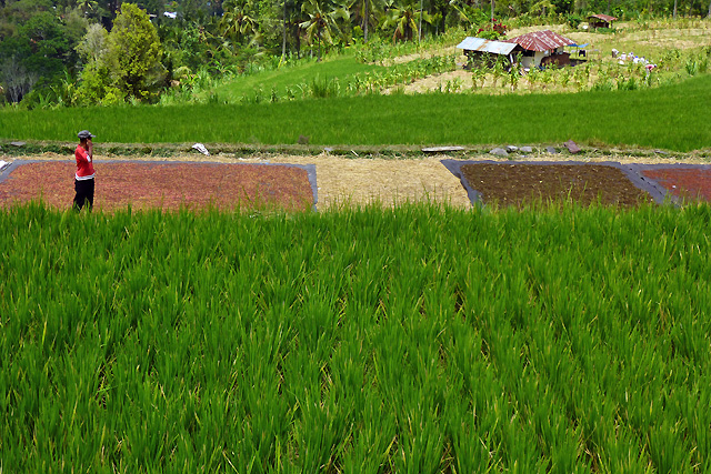 Trek Bali