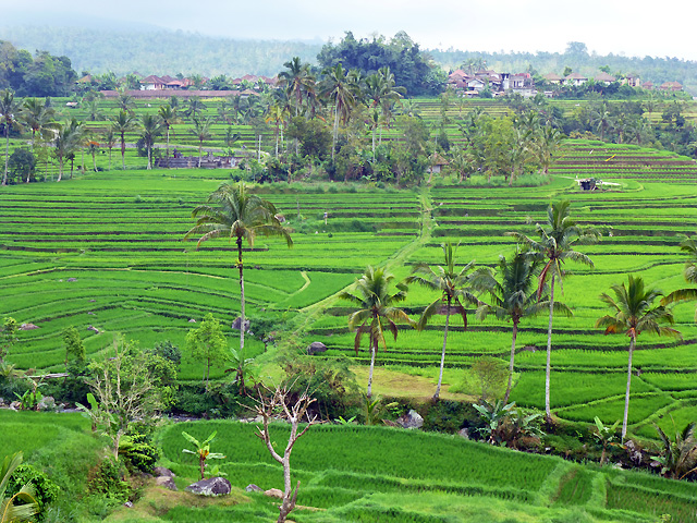 Trek Bali