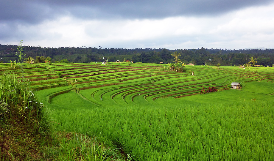 Trek Bali